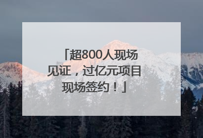 超800人现场见证，过亿元项目现场签约！