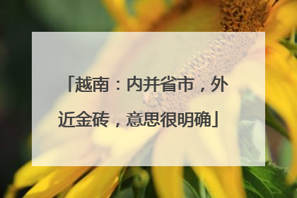 越南：内并省市，外近金砖，意思很明确