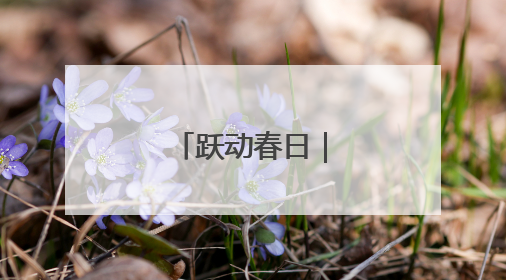 跃动春日｜美好少年