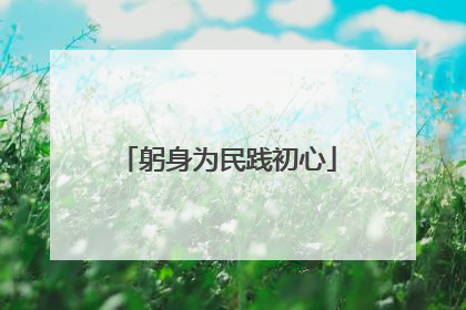 躬身为民践初心
