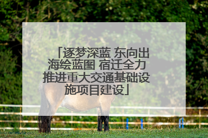 逐梦深蓝 东向出海绘蓝图 宿迁全力推进重大交通基础设施项目建设