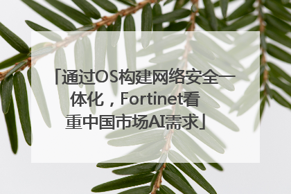 通过OS构建网络安全一体化，Fortinet看重中国市场AI需求