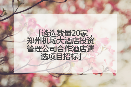 遴选数量20家，郑州机场大酒店投资管理公司合作酒店遴选项目招标