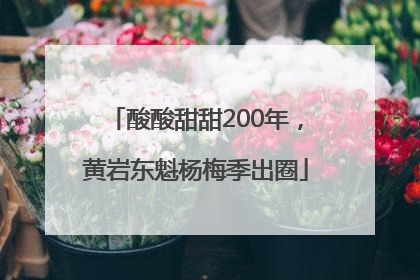 酸酸甜甜200年，黄岩东魁杨梅季出圈