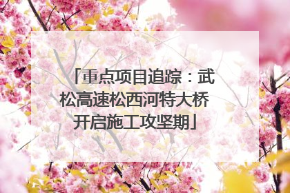 重点项目追踪：武松高速松西河特大桥开启施工攻坚期