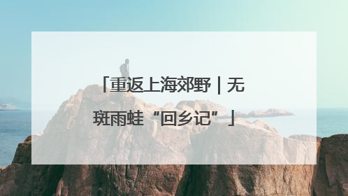 重返上海郊野｜无斑雨蛙“回乡记”
