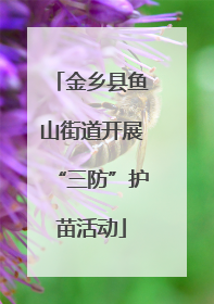金乡县鱼山街道开展“三防”护苗活动