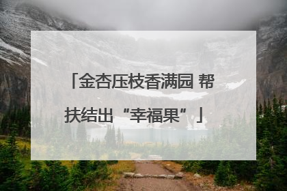 金杏压枝香满园 帮扶结出“幸福果”