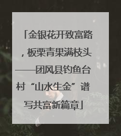 金银花开致富路，板栗青果满枝头——团风县钓鱼台村“山水生金”谱写共富新篇章