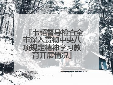 韦韬督导检查全市深入贯彻中央八项规定精神学习教育开展情况