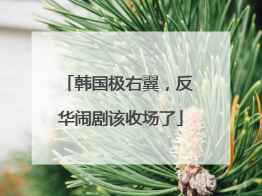 韩国极右翼，反华闹剧该收场了