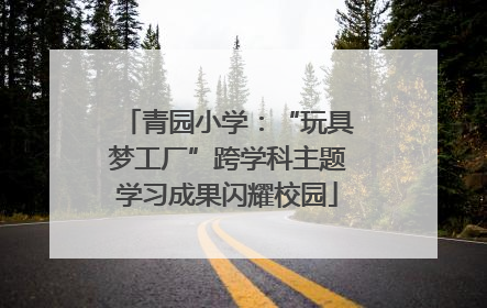 青园小学：“玩具梦工厂”跨学科主题学习成果闪耀校园