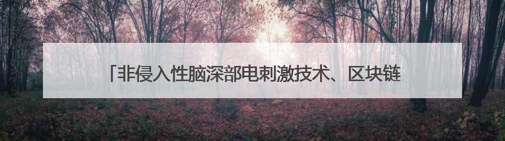 非侵入性脑深部电刺激技术、区块链智能漏洞检测系统等将亮相上交会