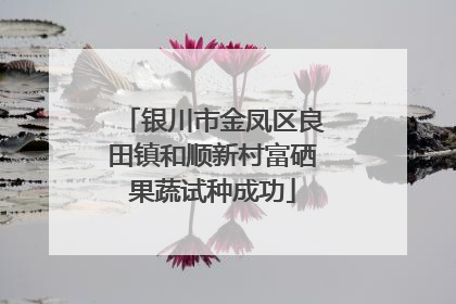 银川市金凤区良田镇和顺新村富硒果蔬试种成功