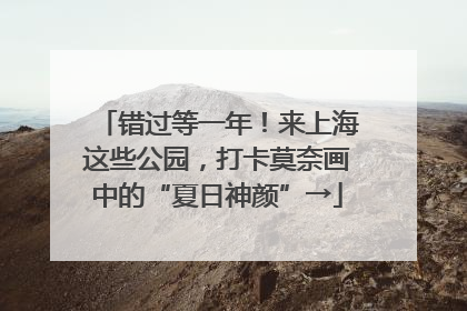 错过等一年！来上海这些公园，打卡莫奈画中的“夏日神颜”→