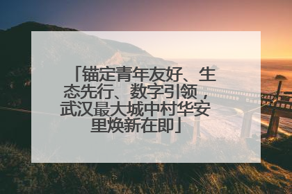 锚定青年友好、生态先行、数字引领，武汉最大城中村华安里焕新在即