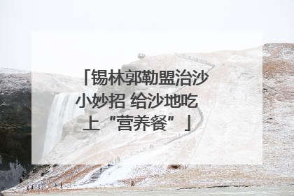 锡林郭勒盟治沙小妙招 给沙地吃上“营养餐”