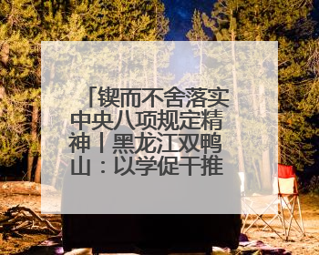 锲而不舍落实中央八项规定精神丨黑龙江双鸭山：以学促干推动学习教育走深走实 从小事入手写好“民生答卷”
