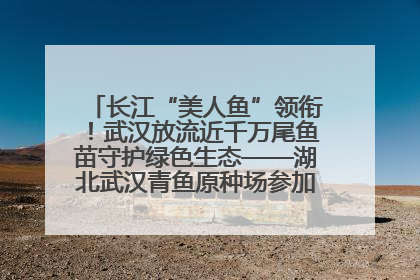 长江“美人鱼”领衔！武汉放流近千万尾鱼苗守护绿色生态——湖北武汉青鱼原种场参加2025年“全国放鱼日”增殖放流活动