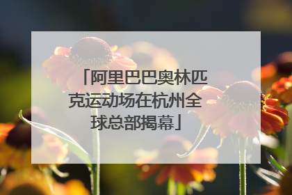 阿里巴巴奥林匹克运动场在杭州全球总部揭幕