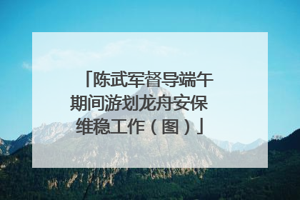 陈武军督导端午期间游划龙舟安保维稳工作（图）