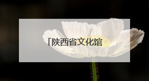 陕西省文化馆：“白+黑”“馆+景”，文化供给向美而聚