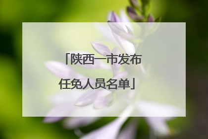 陕西一市发布任免人员名单