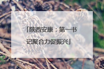 陕西安康：第一书记聚合力促振兴
