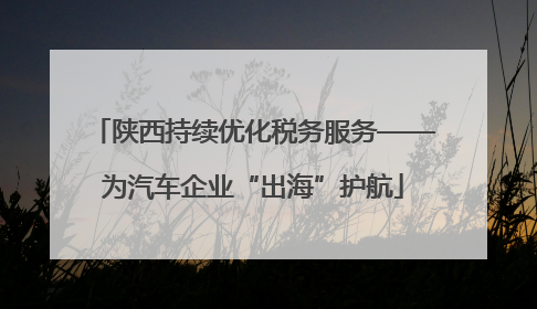 陕西持续优化税务服务——为汽车企业“出海”护航