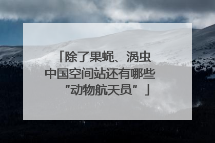 除了果蝇、涡虫 中国空间站还有哪些“动物航天员”
