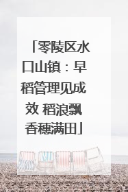 零陵区水口山镇：早稻管理见成效 稻浪飘香穗满田