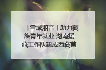 雪域湘音丨助力藏族青年就业 湖南援藏工作队建成西藏首个清洁能源装备园