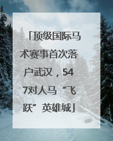 顶级国际马术赛事首次落户武汉，547对人马“飞跃”英雄城