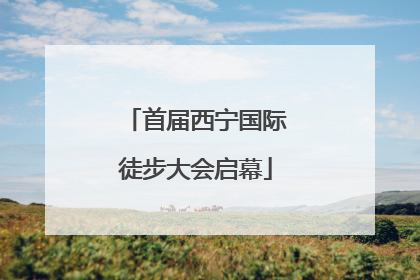 首届西宁国际徒步大会启幕