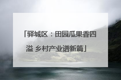 驿城区：田园瓜果香四溢 乡村产业谱新篇