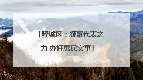 驿城区：凝聚代表之力 办好惠民实事