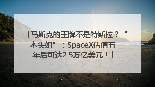马斯克的王牌不是特斯拉？“木头姐”：SpaceX估值五年后可达2.5万亿美元！