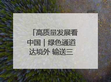 高质量发展看中国｜绿色通道达境外 输送三江“一口鲜”