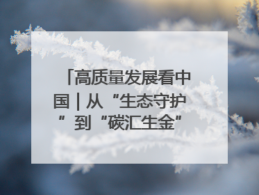 高质量发展看中国｜从“生态守护”到“碳汇生金”——中国石油大庆油田绿色蝶变