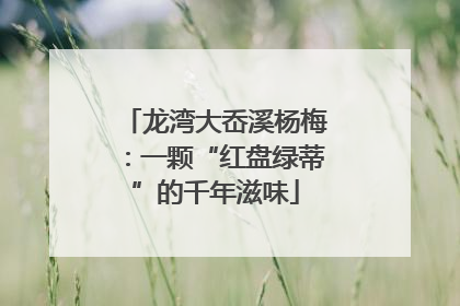 龙湾大岙溪杨梅：一颗“红盘绿蒂”的千年滋味