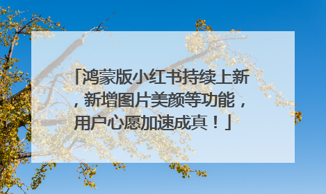 鸿蒙版小红书持续上新，新增图片美颜等功能，用户心愿加速成真！
