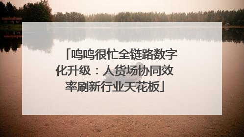 鸣鸣很忙全链路数字化升级：人货场协同效率刷新行业天花板