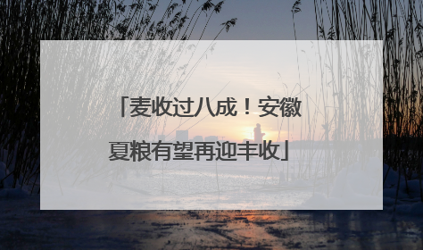 麦收过八成！安徽夏粮有望再迎丰收