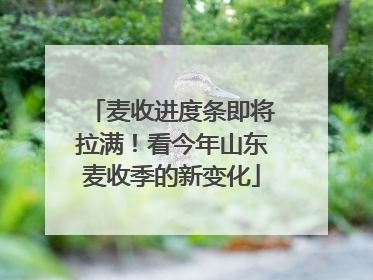 麦收进度条即将拉满！看今年山东麦收季的新变化