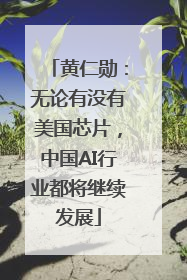 黄仁勋：无论有没有美国芯片，中国AI行业都将继续发展