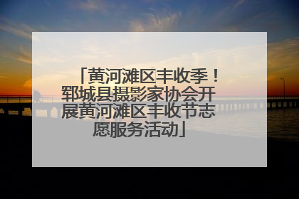 黄河滩区丰收季！郓城县摄影家协会开展黄河滩区丰收节志愿服务活动