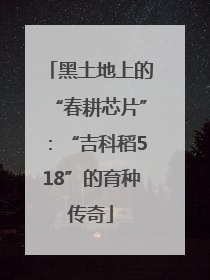 黑土地上的“春耕芯片”：“吉科稻518”的育种传奇