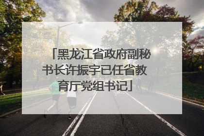 黑龙江省政府副秘书长许振宇已任省教育厅党组书记