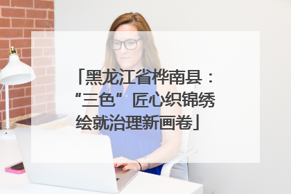 黑龙江省桦南县：“三色”匠心织锦绣 绘就治理新画卷