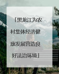 黑龙江为农村集体经济健康发展营造良好法治环境